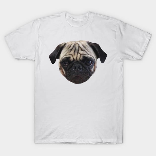 Cute Caesar the Pug Face by AiReal Apparel T-Shirt by airealapparel